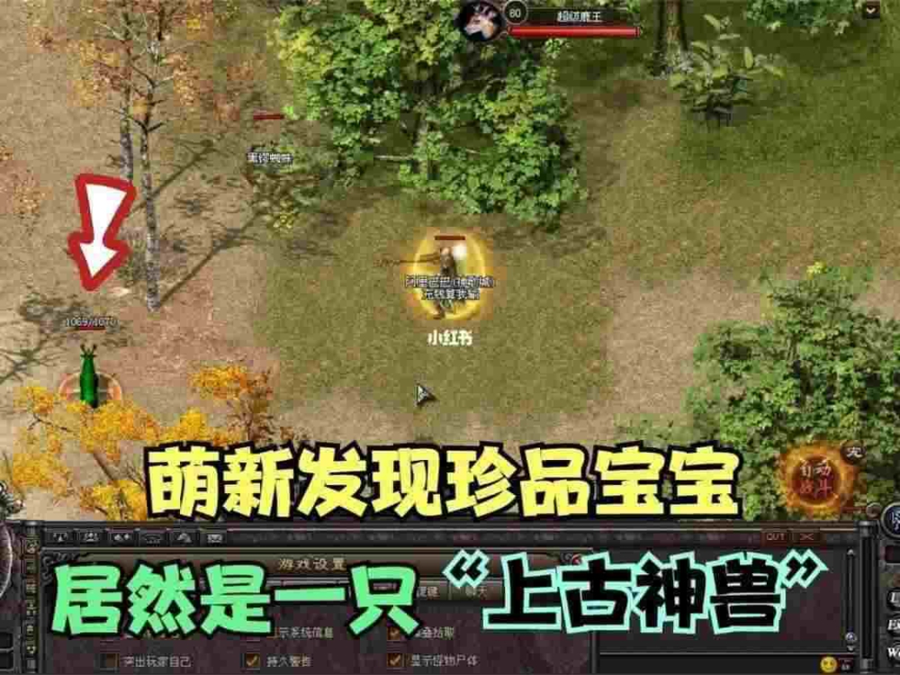 传奇手游哪个英雄充值最多,传奇手游中哪个英雄的充值最多？